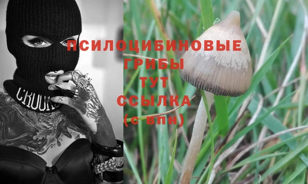 mix Баксан