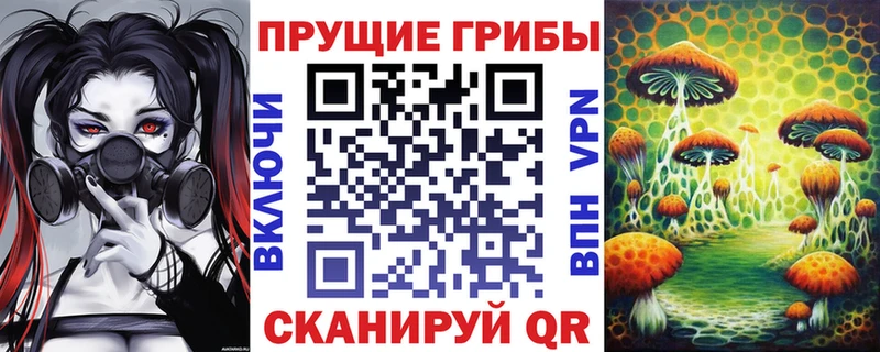 Купить где  Грязовец  Псилоцибиновые грибы Cubensis 